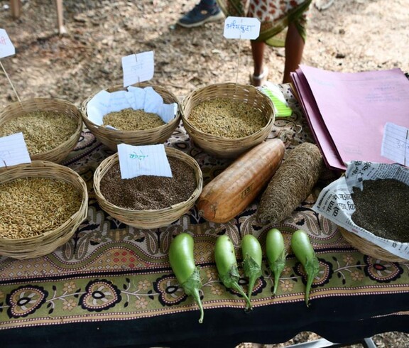 Mehrere Körbe mit regionalem Saatgut und Gemüse liegen auf einem Tisch, daneben Etiketten und Unterlagen