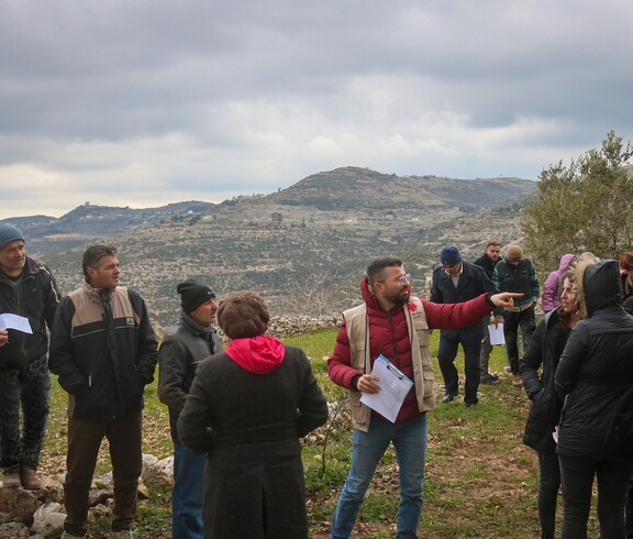 Caritas-Team leitet eine Feldschulung mit Bäuerinnen und Bauern in den Olivenhainen von Latakia