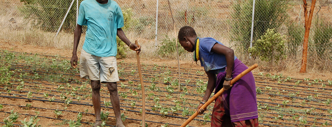 Gartenbau lernen im Gemeinschaftsprojekt Uganda Ein Mann und eine Frau bearbeiten gemeinsam ein Gemüsebeet in einem ugandischen Ausbildungsprojekt
